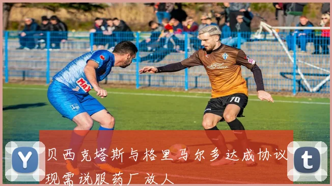 贝西克塔斯与格里马尔多达成协议现需说服药厂放人