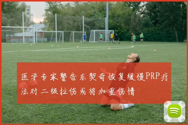 医学专家警告东契奇恢复缓慢PRP疗法对二级拉伤或将加重伤情